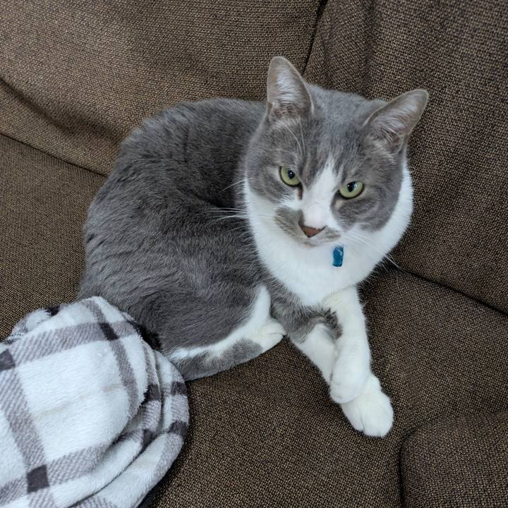 Cd9a6249 64bd 45c3 ad97 e233da4edb5d 1772418177264