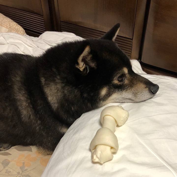 Cd9a776e 77b5 412b beb9 d88e1d8ff7ce 1558780374070