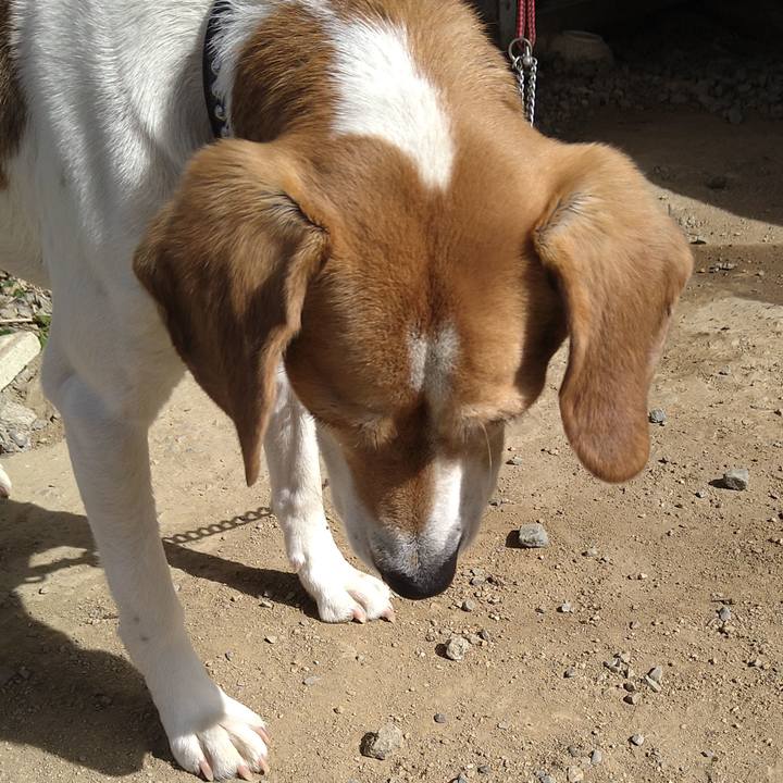 Cd9a883d e3ff 4f73 afd8 8d5a6819c634 1647428052533