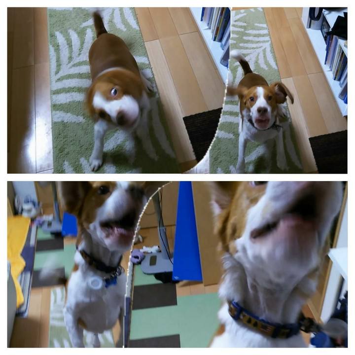 Cd9a89f7 ad7a 4a71 913a 754b4e6cf339 1537617600098