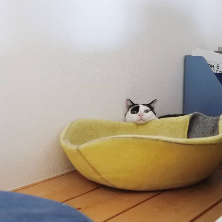 Cd9a8ff4 0064 46f7 99e9 5c879f4d9dfd 1596633366685