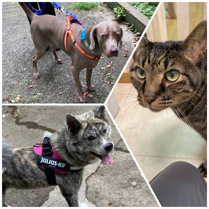 Cd9a91a9 7902 4e87 addd 94bfc5e79af3 1662024189219