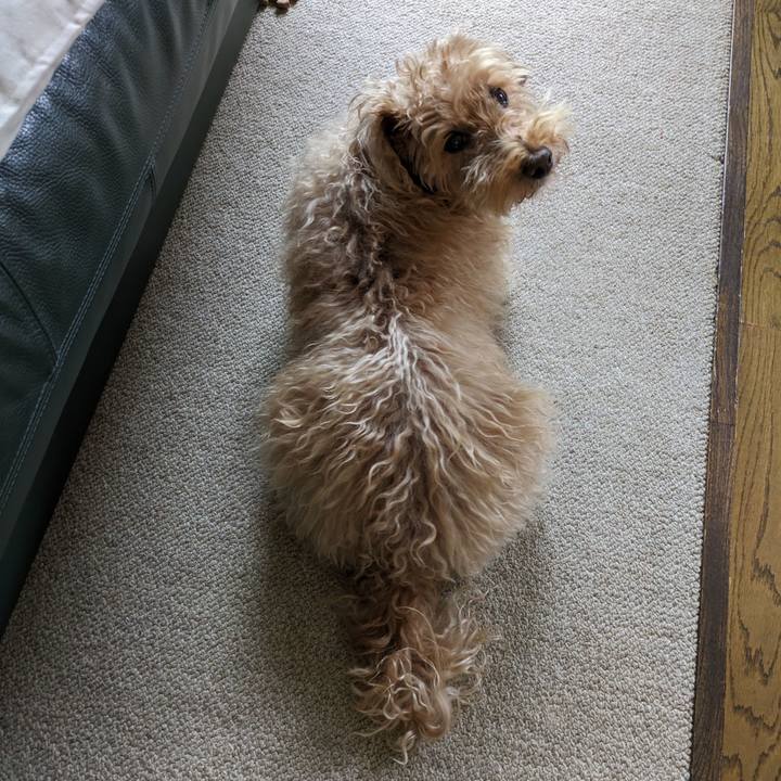 Cd9ab62f 434e 40f9 a0dd 34def214f9cd 1718918720394