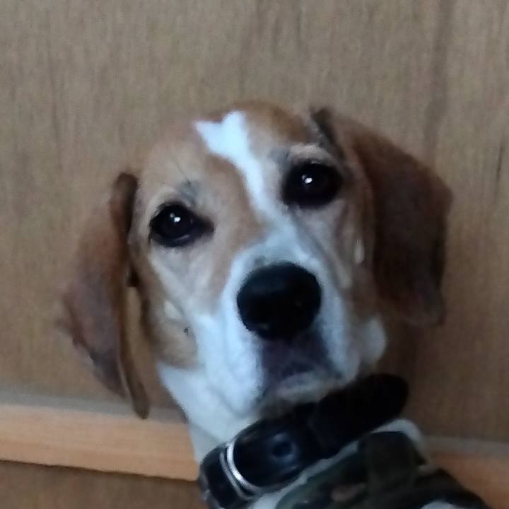 Cd9ad099 0342 49b6 b539 53f1b26b1dff 1696155686995