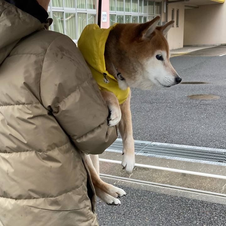 Cd9ada0d 934d 4c55 8dd8 8e274ce989c4 1738456268922