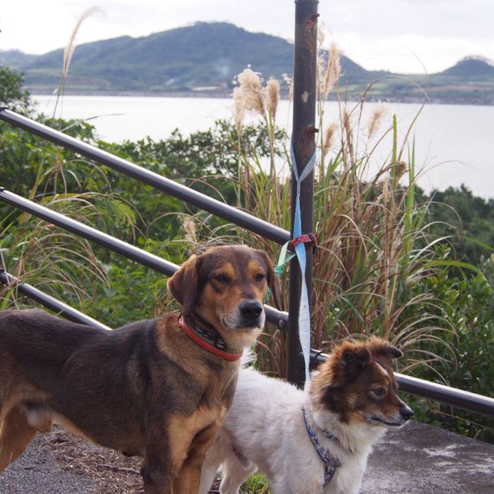 Cd9af0a2 c4dc 49f7 87b9 2136affdf886 1516017788049