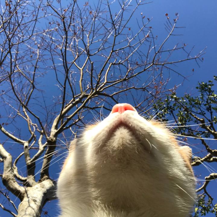 Cd9b1533 a742 497c b2ea f87c0a6703e3 1512953709789