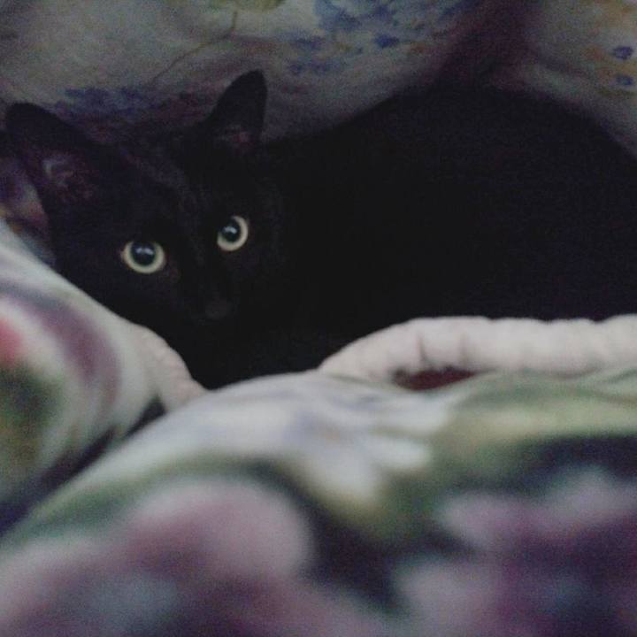 Cd9b4402 a2c0 4c87 b0fa 4563914b891a 1616217644213