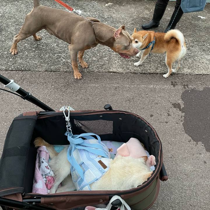 Cd9b472c 752c 4305 9162 df474b888861 1663241555878