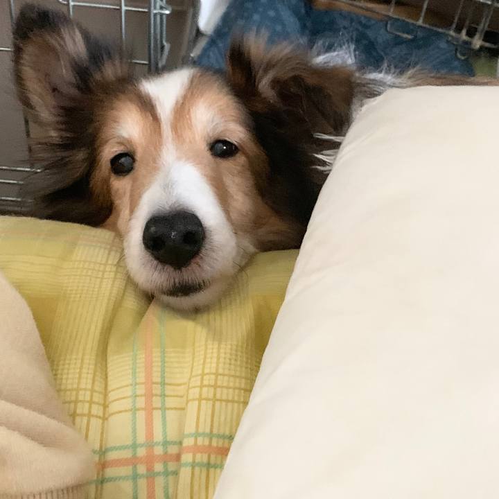 Cd9b4837 b504 418a 92ed 80bf7e94ef8a 1582275292232