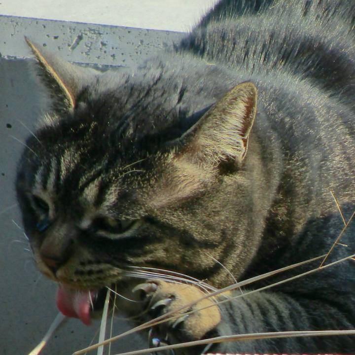 Cd9b4f26 bbb1 448e b52a 3aa6e5600ca8 1516370554639