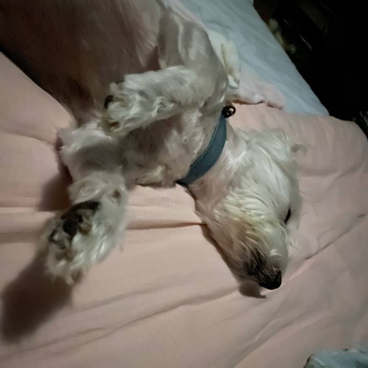 Cd9b85b1 e7c7 4104 8643 1597f29931ab 1663441148111