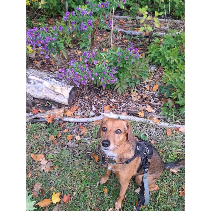 Cd9b8e73 28f3 4691 855e 59bf76cc03de 1758635067671