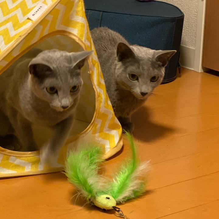 Cd9bc655 771c 4efa adad 122bf6c0ccb4 1672494125959