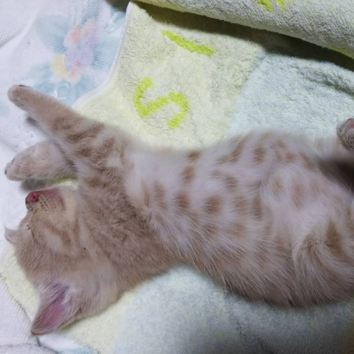 Cd9bf7ed 756a 447e 9b6f 3149ea6fba07 1546823010732