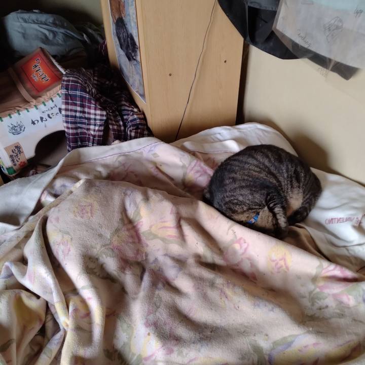 Cd9c006a 0f1b 42d7 b003 02d7285ba37d 1696724671937