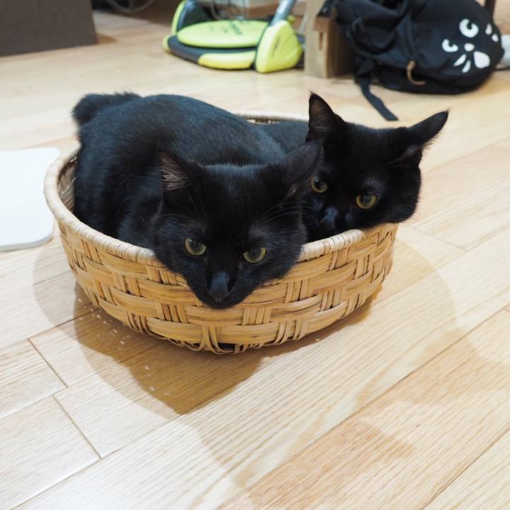 Cd9c06e4 d0ab 44db b794 bad0b04a97cb 1538004563625