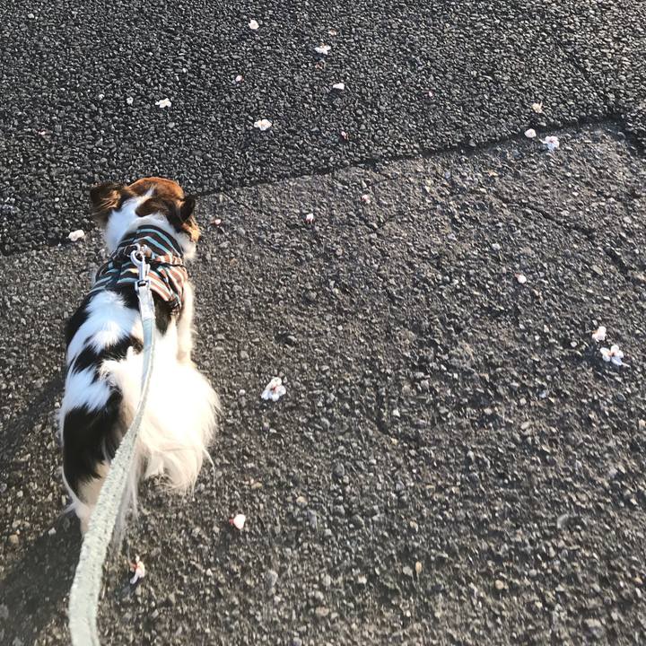 Cd9c2118 6a0a 475e 89c2 ce5ecd914b65 1553598003655