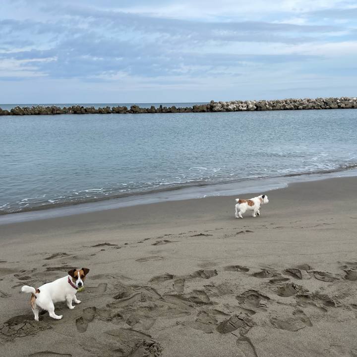 Cd9c2319 e658 4ec5 8fa0 356c2a9fe837 1635639622742