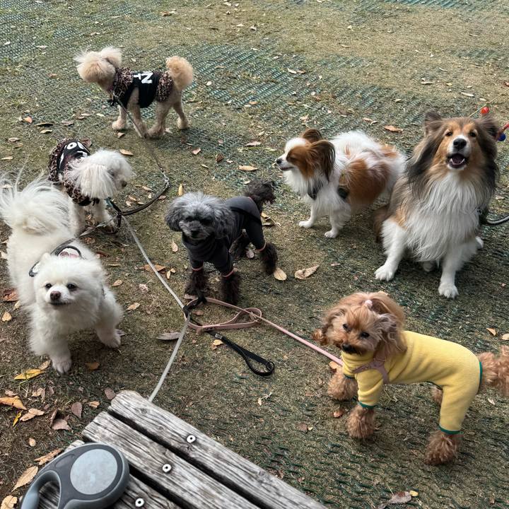 Cd9c39b4 685a 47c8 8936 19bb6072ed92 1762925927325