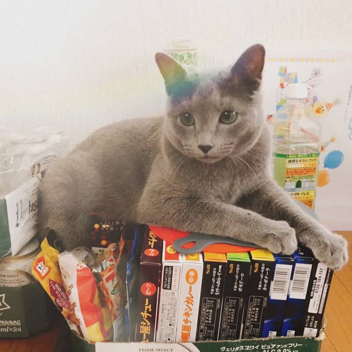 Cd9c7275 c7aa 4223 9761 917d3cb3b7cc 1589436141651