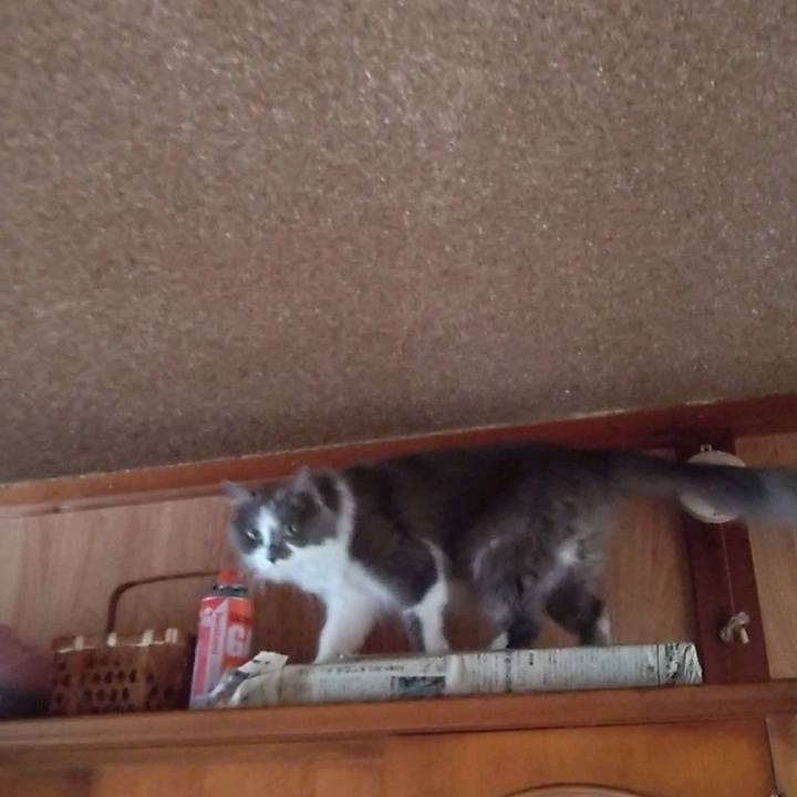 Cd9ccdd4 a3f4 4ba0 afba d885548e849d 1667021476612