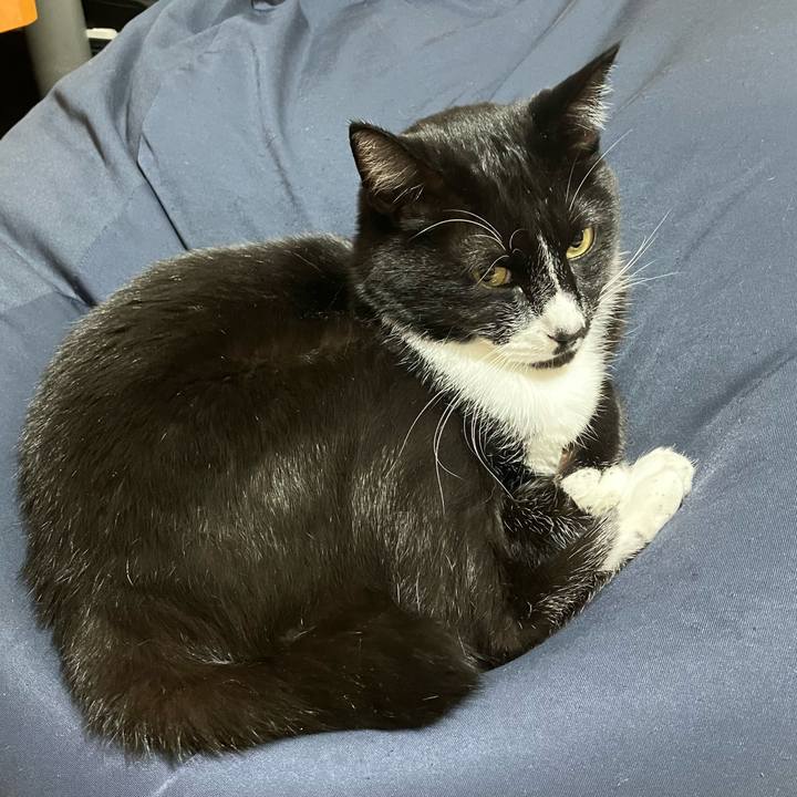 Cd9d13df f259 4a00 852a 5436e359f5f3 1698722285911