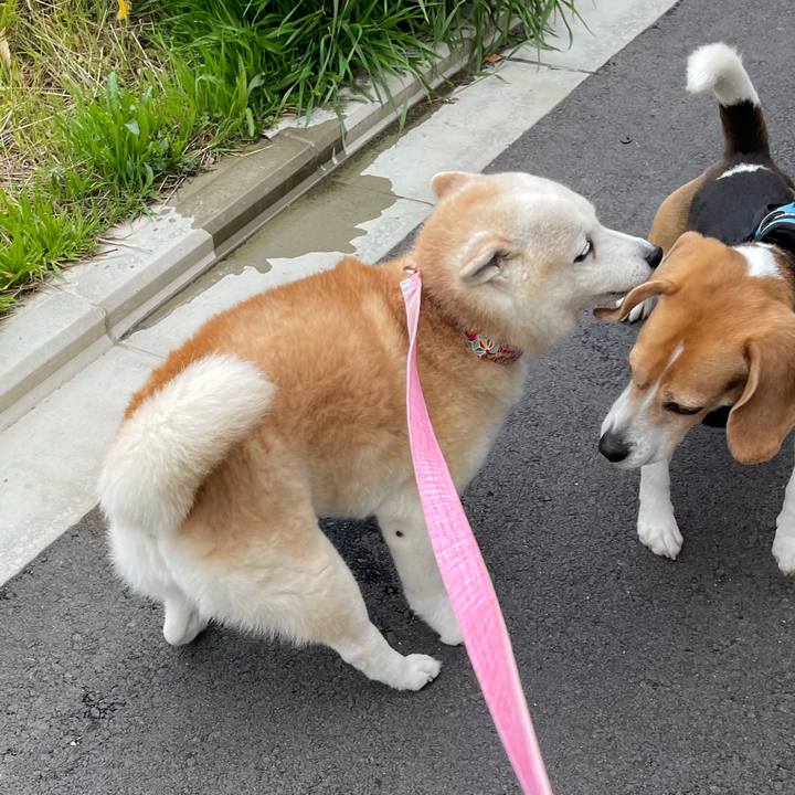 Cd9d80d8 4eef 426a a3c3 7526911b9ee2 1648769074062