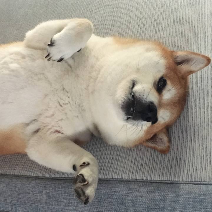 Cd9d98f2 579f 4dac 911b 85a5019fd833 1598337613829