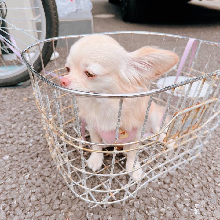 Cd9dc833 61fd 44ce 95c3 d8cdc84aa140 1659761995614