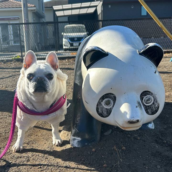 Cd9dda0c aa07 45be 9043 12be1ad16152 1735353677825