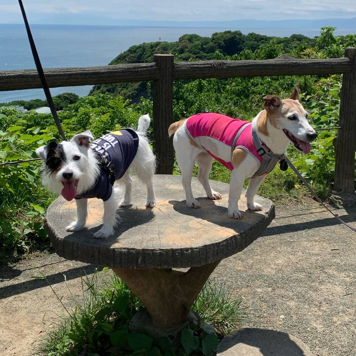 Cd9e1e54 6003 410a ad51 546f169234b0 1653206714337