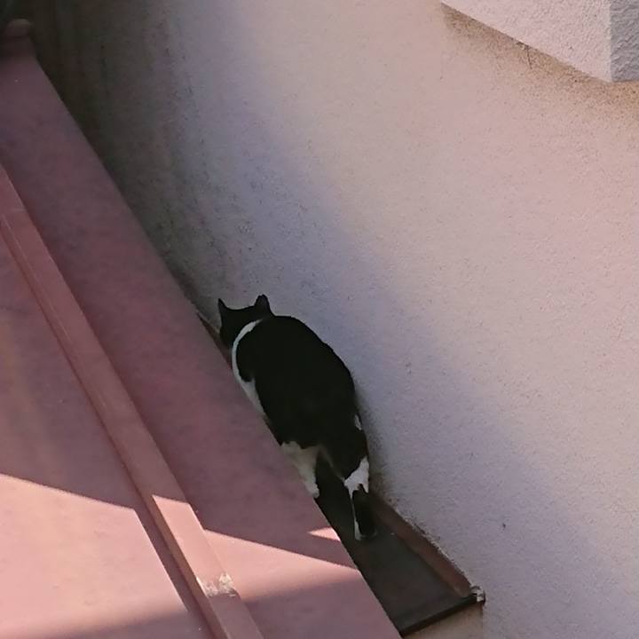 Cd9e2dc9 4016 4bb0 bdee d4e656a469e1 1582945844435