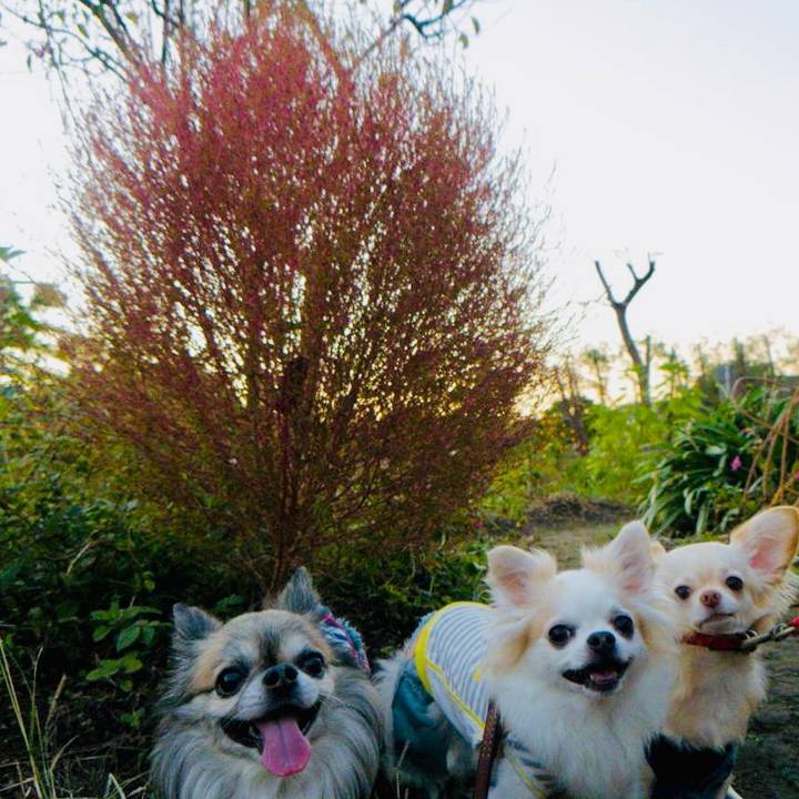 Cd9e560c c7b2 4c7d a41d 287cbc3ad52b 1634270148095