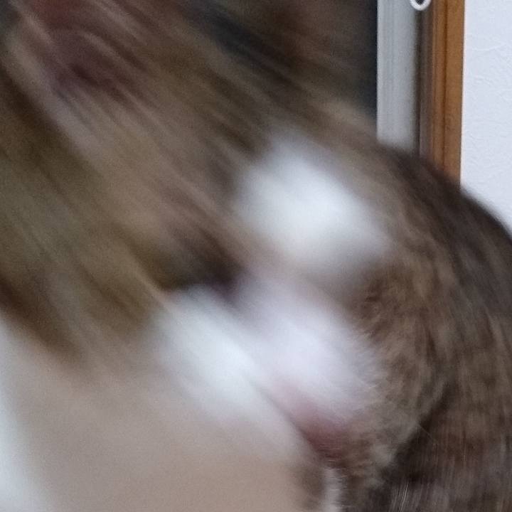 Cd9e8844 10de 47f0 9ea2 7614a74b6617 1567863552458