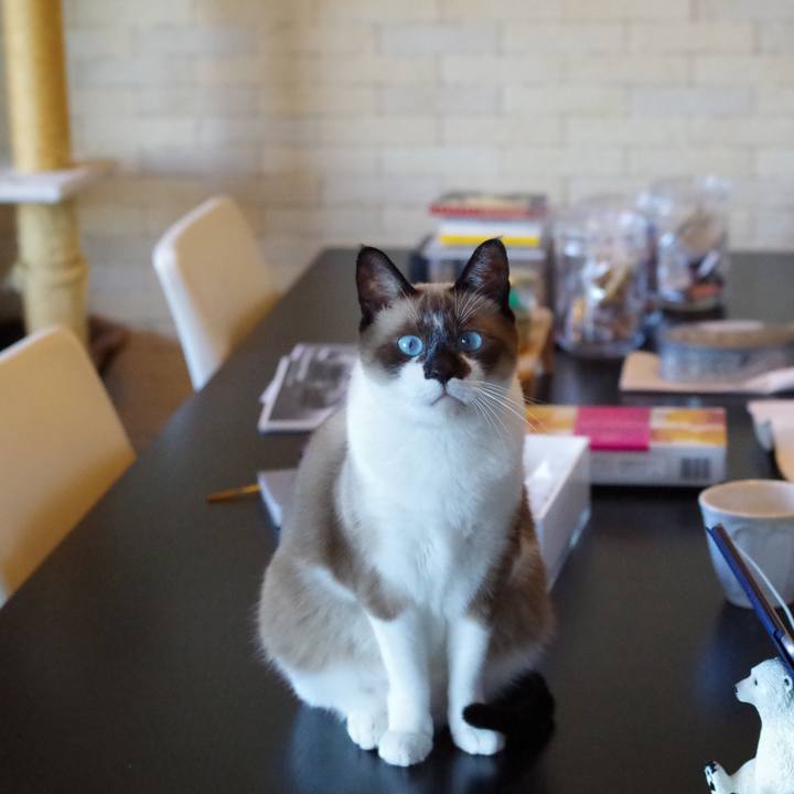 Cd9e9d0b a406 4154 8325 b279c9926baf 1538369159033