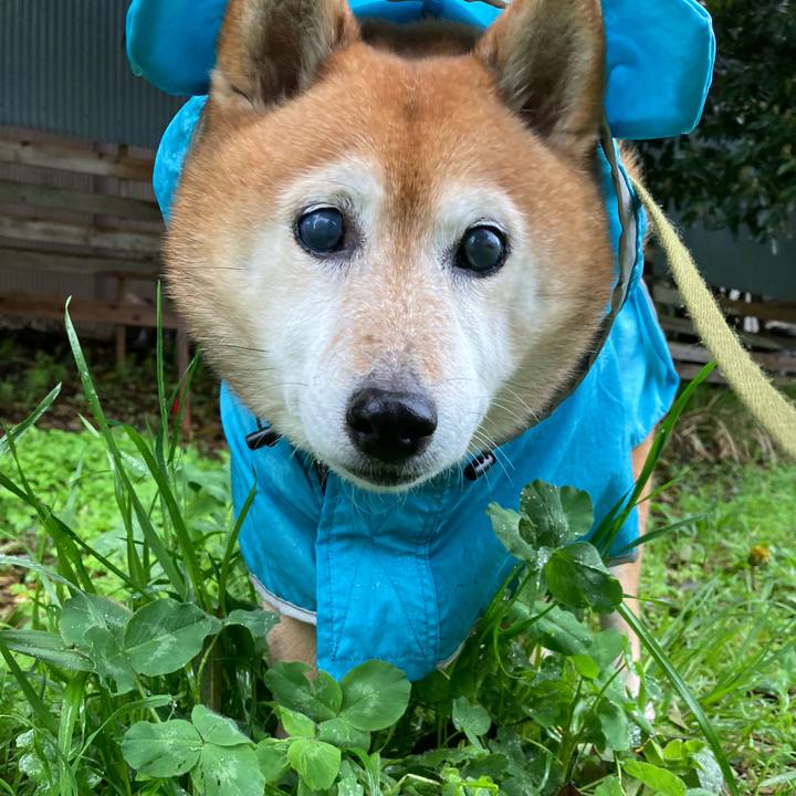 Cd9ea32e 8ea7 4352 b19c c7387e920eb7 1712624392932