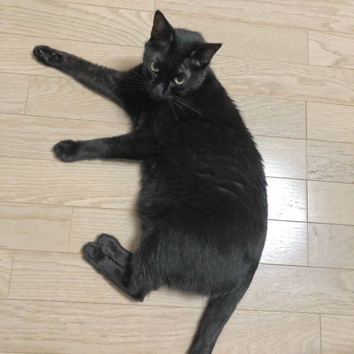 Cd9f20d1 4f0a 4652 a457 16aac0b93a69 1621860179659