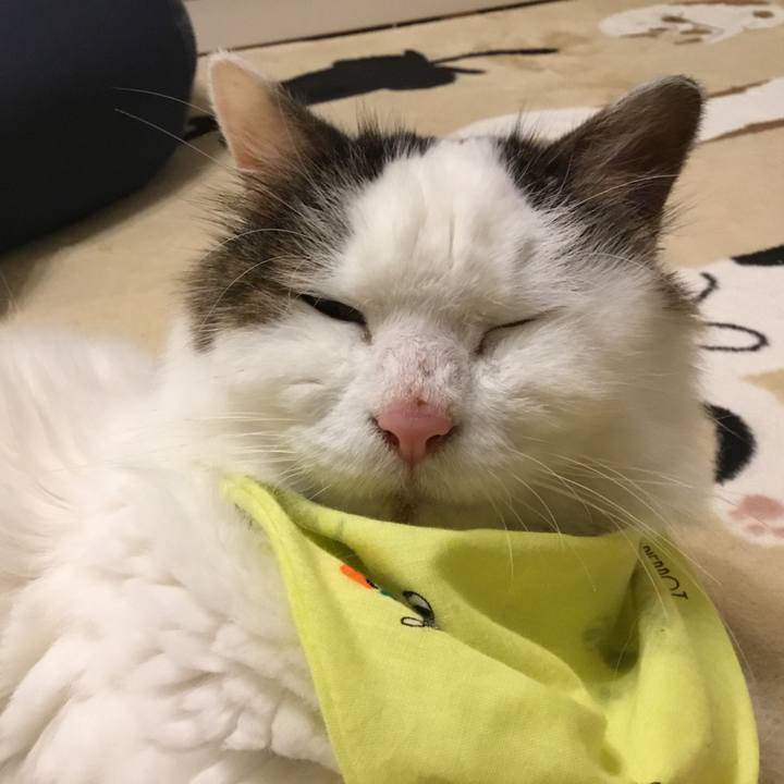 Cd9f52b4 592e 4a8d 83ed 9e2fc906b8a8 1576154781436