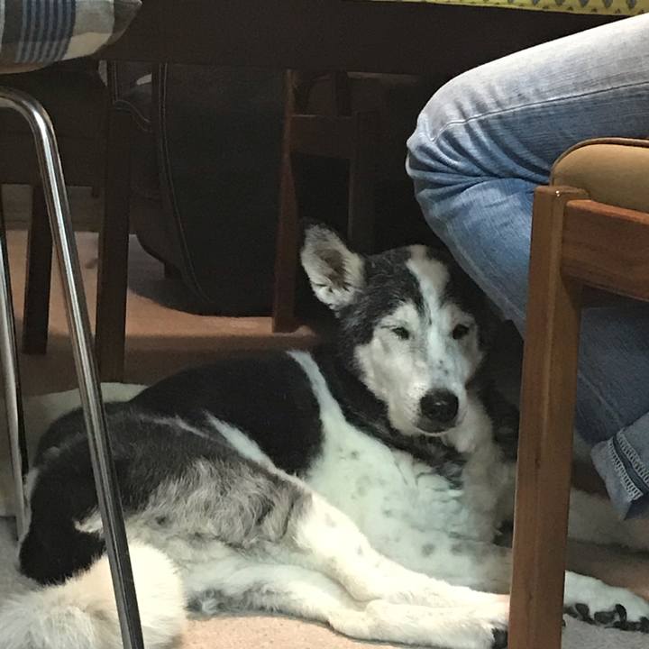 Cd9fb4b2 29d3 4805 b9b1 13f2d5d4f2b8 1571525863436