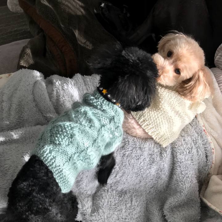 Cd9fbffd 4d42 4251 bb3d 432c337cdf7d 1510786892430