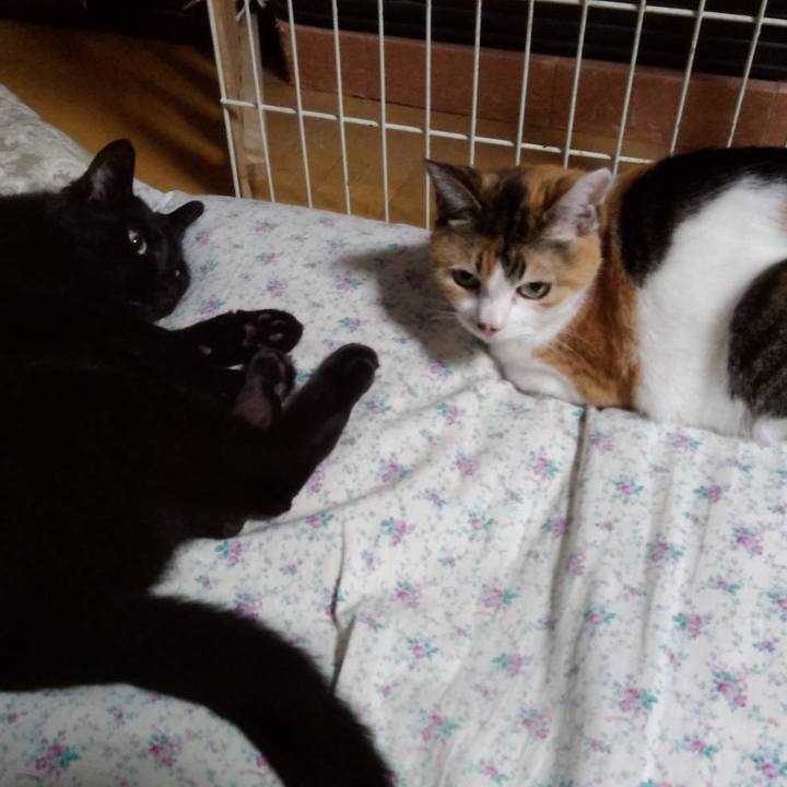 Cda01bd2 5f3b 4c75 a3c6 b0c69a0e1ac2 1701163893431