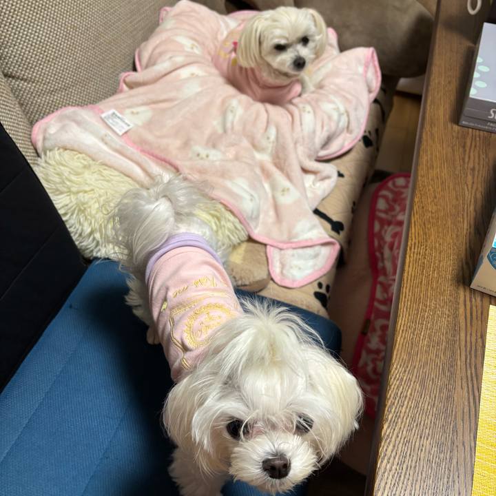 Cda050de 5f02 4dbd 92ad c525c2de8b8c 1737370645640