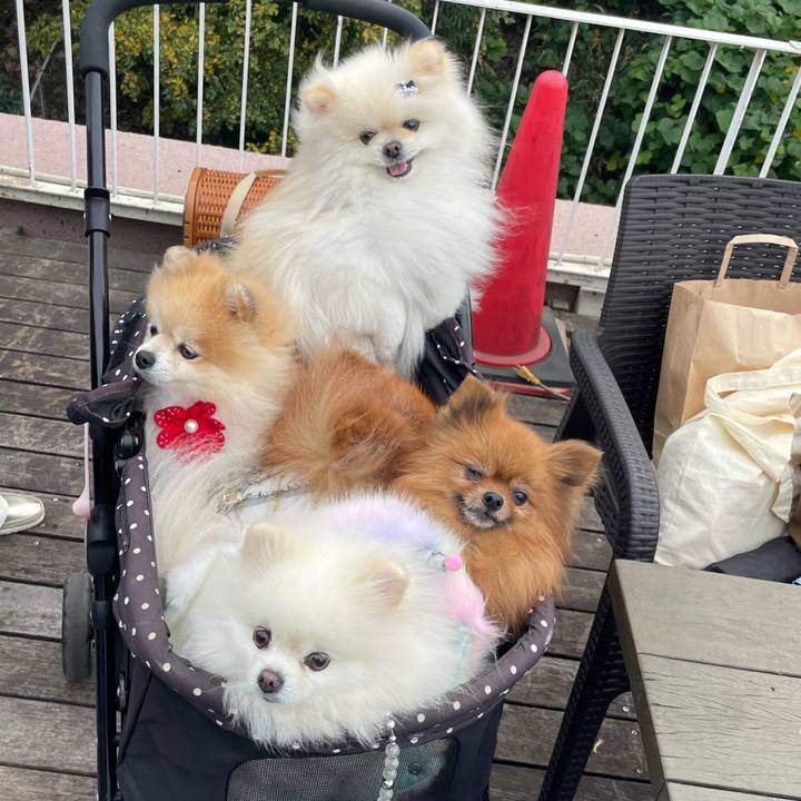 Cda051a1 0627 49f2 85fe 6f235b8b2727 1668336248767