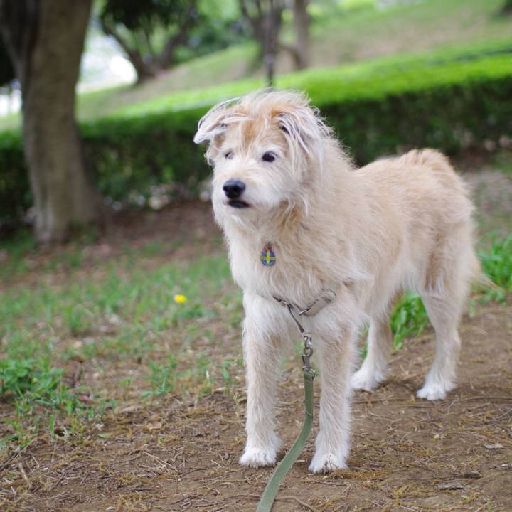 Cda05541 ec6b 4954 b745 115b9d7c867c 1617532827735