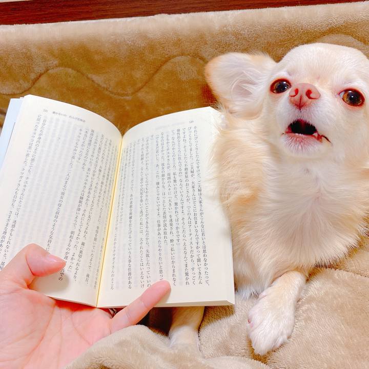 Cda11cbf dc81 4396 8521 9e1f39ad84a9 1637208680305