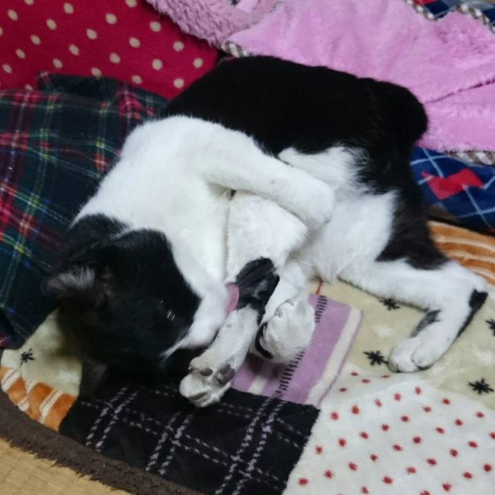 Cda14141 e575 45b4 9b42 53a4c2b10025 1519769759673