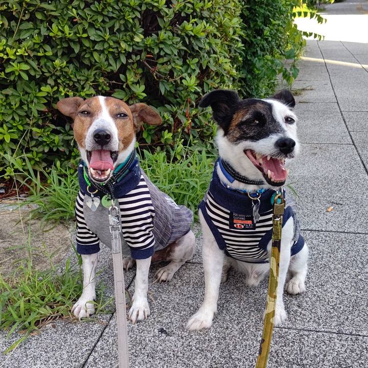 Cda1605b f546 4b77 b882 7addc32b0a73 1694302868131