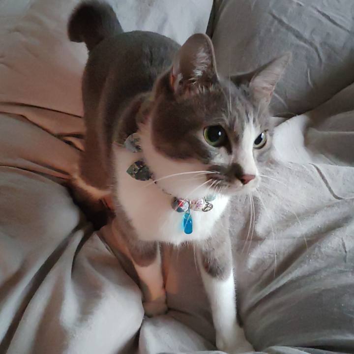 Cda1677c 04b0 4c1f 9d66 051ddff03c1d 1666651980557