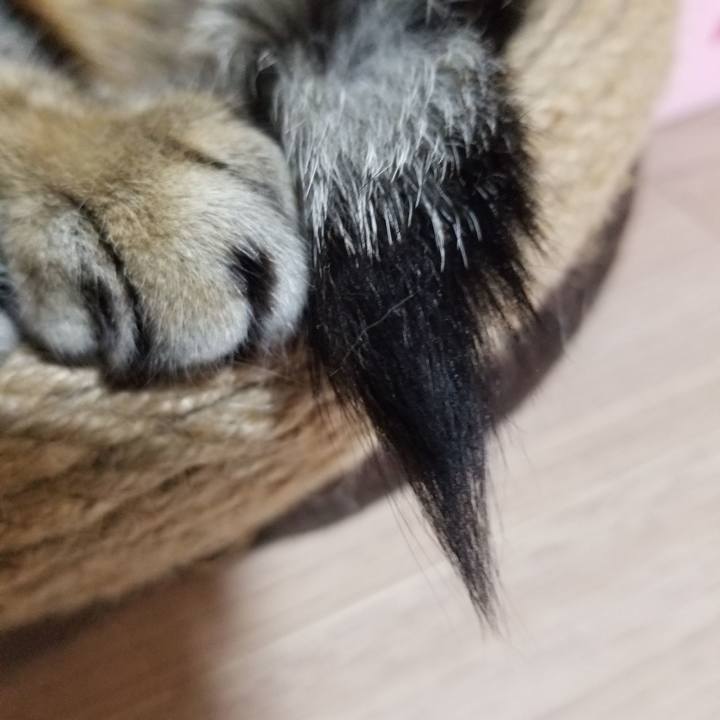 Cda17c62 e383 40e3 8faa d46b18e25cf5 1614940444970